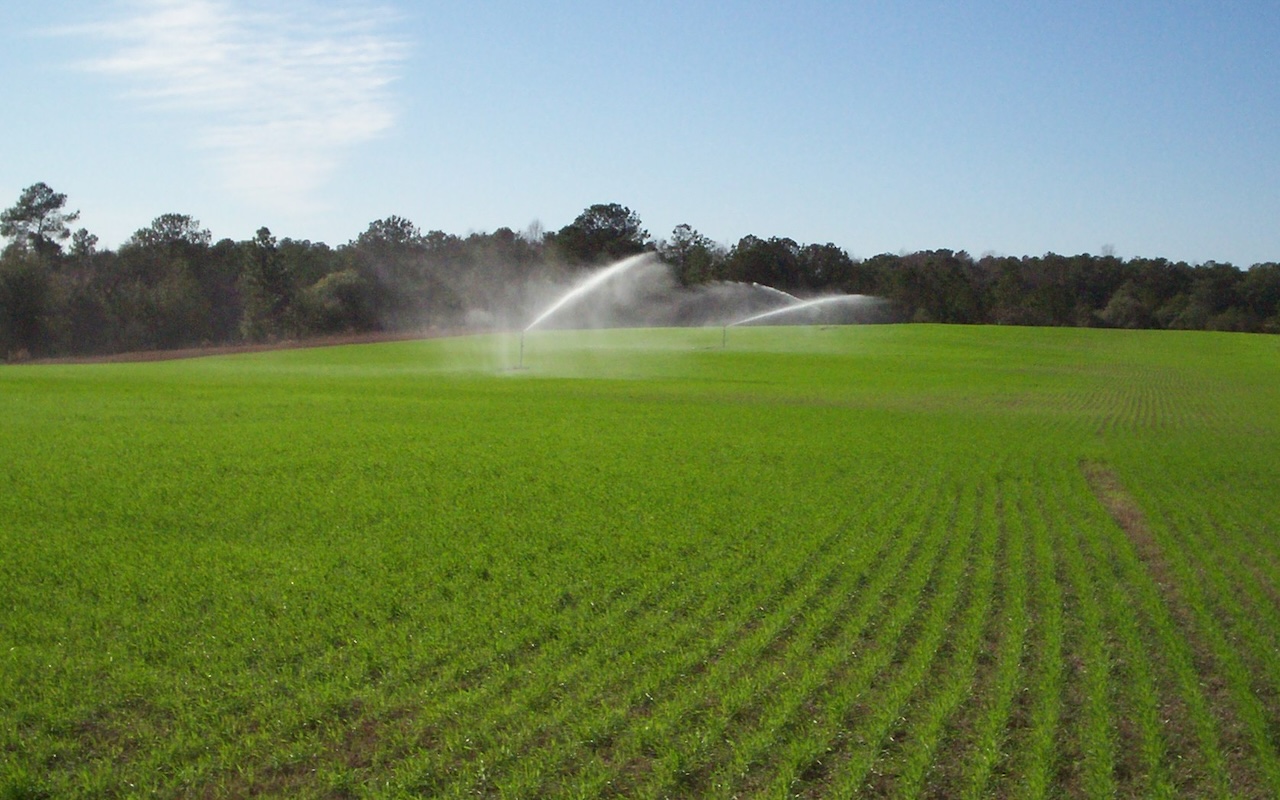 Land Treatment of Wastewater + Biosolids