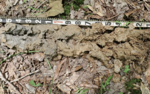 A sediment measurement taken at a GTC Transmission Line project worksite.