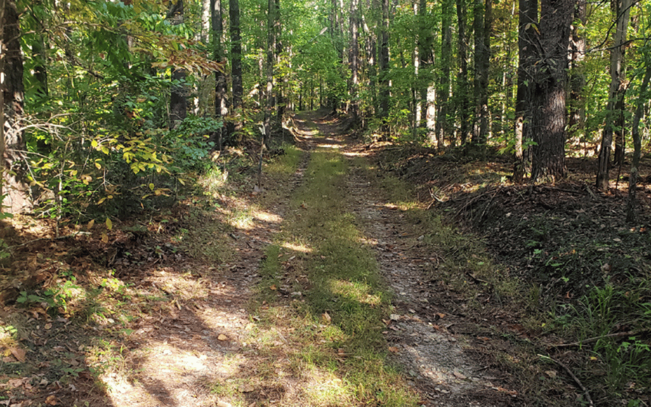 Cultural Resources Survey of 3,000 Acres on the Andrew Pickens Ranger District