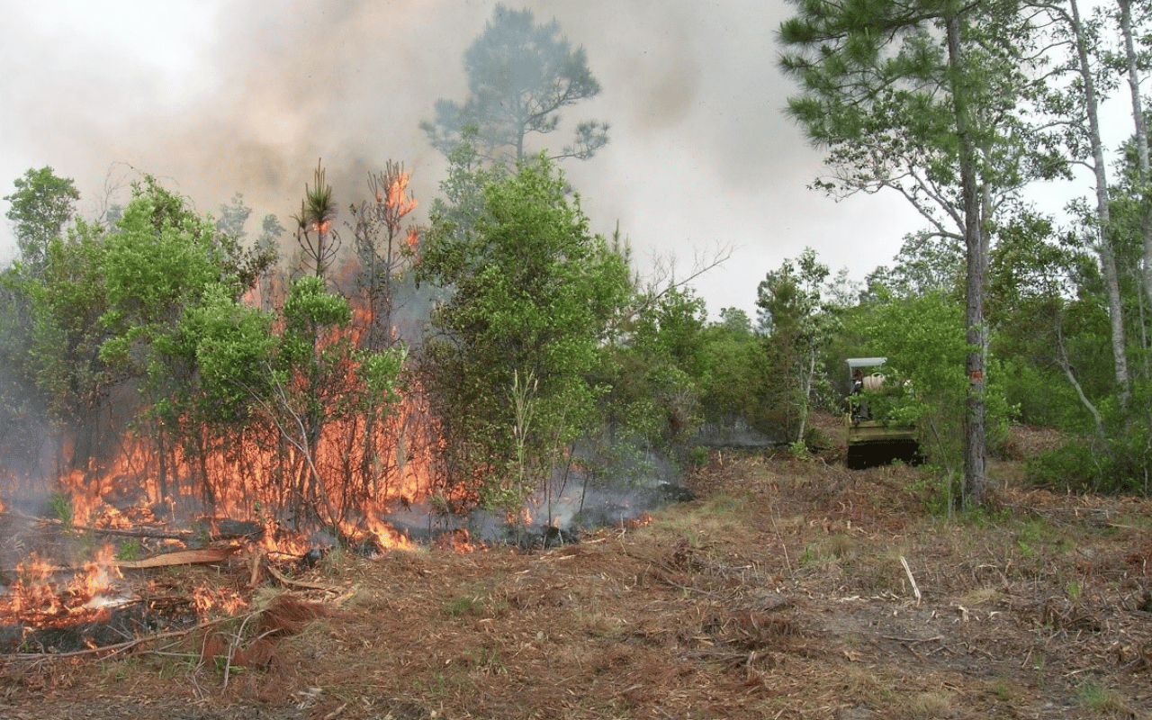 Implementation of a prescribed burn