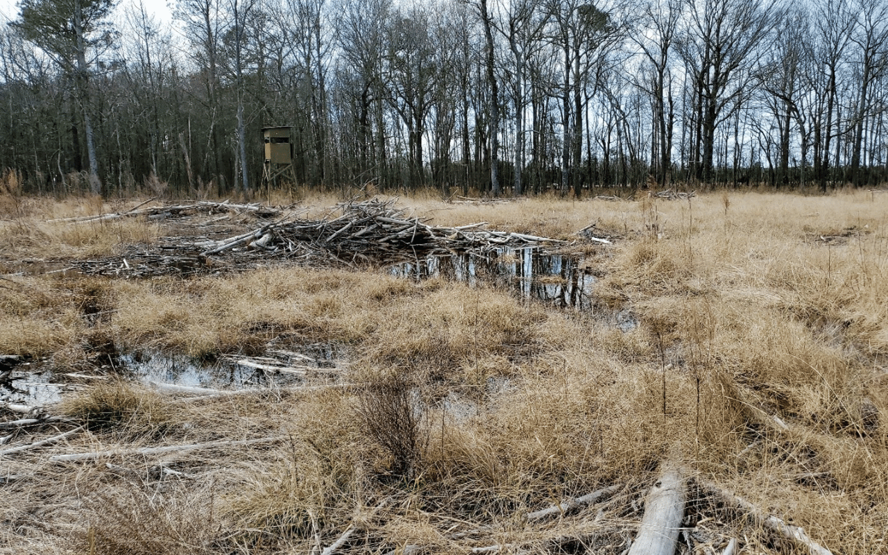 North & South Carolina USDA NRCS Wetland Determinations