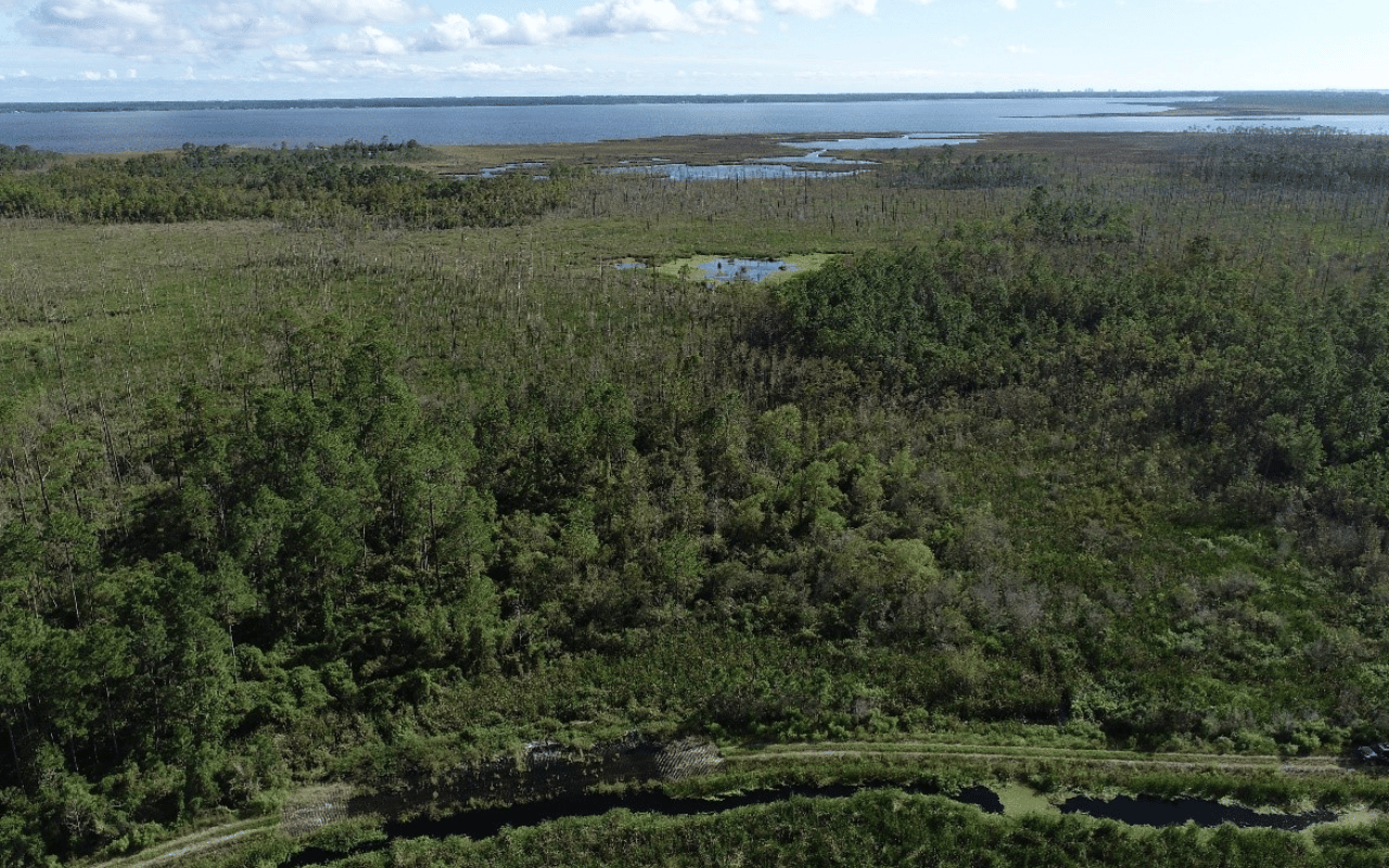 Constructed Wetland Treatment System