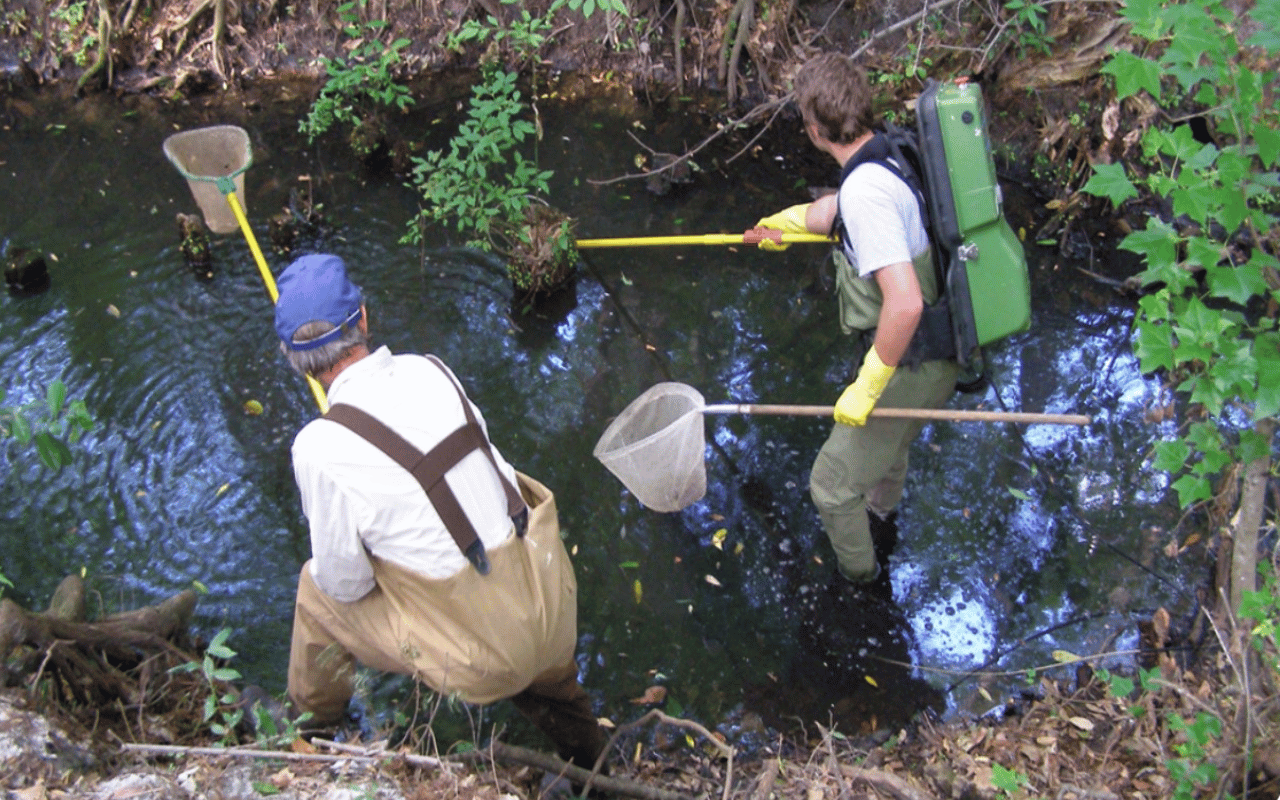 Georgia Watershed Monitoring, Assessments, & Protection Plans